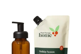 Foaming Hand Soap Duo: Holiday Season + Foaming Bottle
